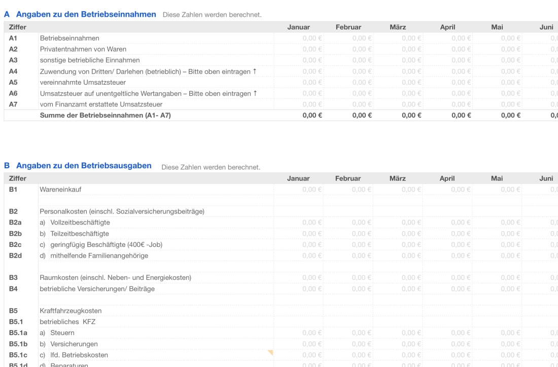 Einnahmen-Überschuss-Rechnung 2024 mit USt "Anlage EKS"