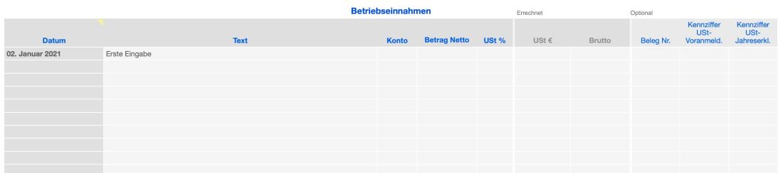 Vorlage Einnahmen-Überschuss-Rechnung 2021 für Mac und iPad Tabelle Einnahmen