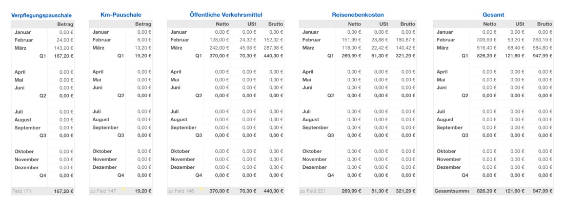 Einnahmen-Überschuss-Rechnung 2025 mit USt Reisekosten Ergebnisse